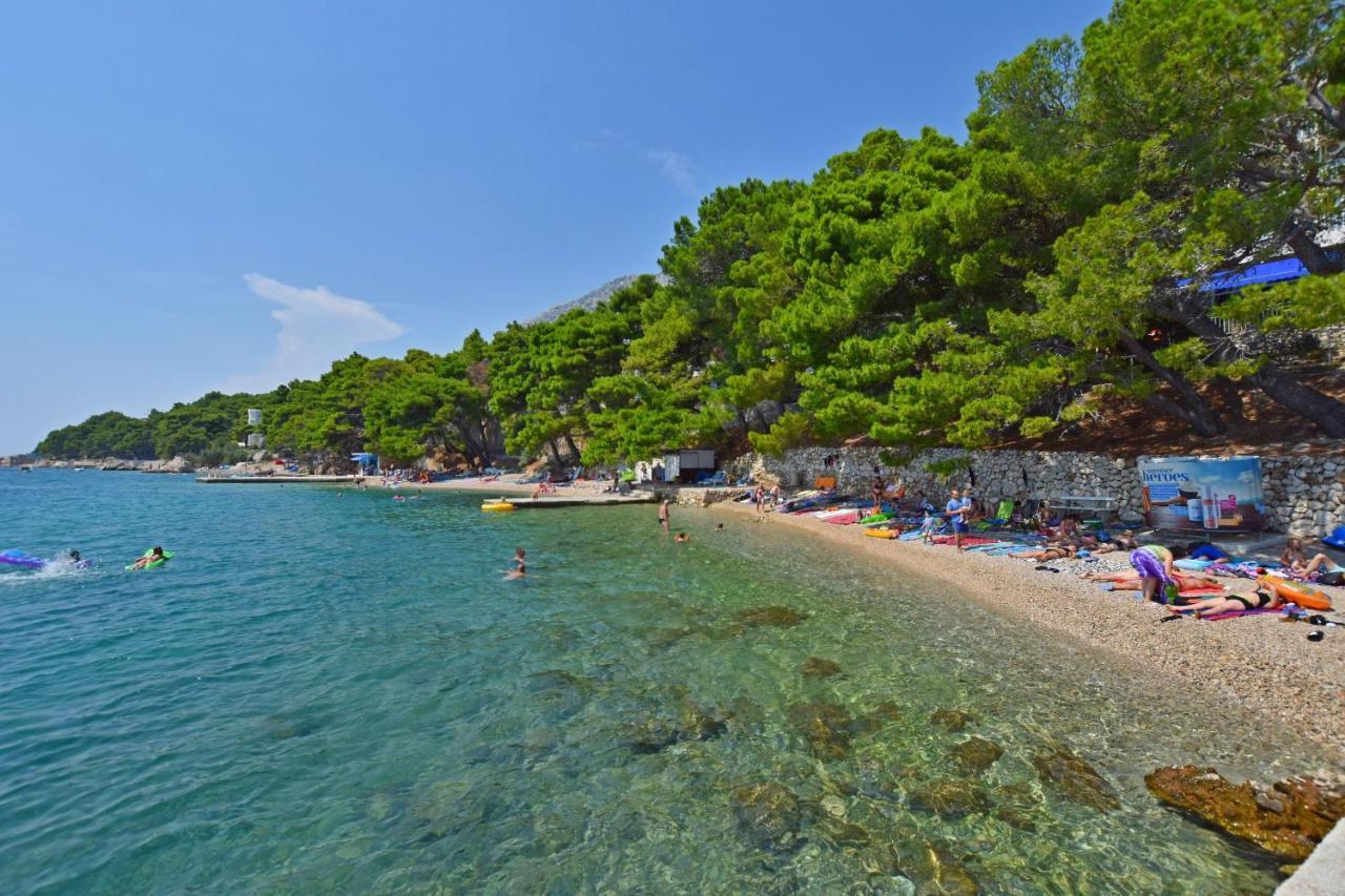 Zdenka * Omis